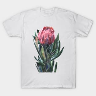 flower protea, watercolor picture T-Shirt